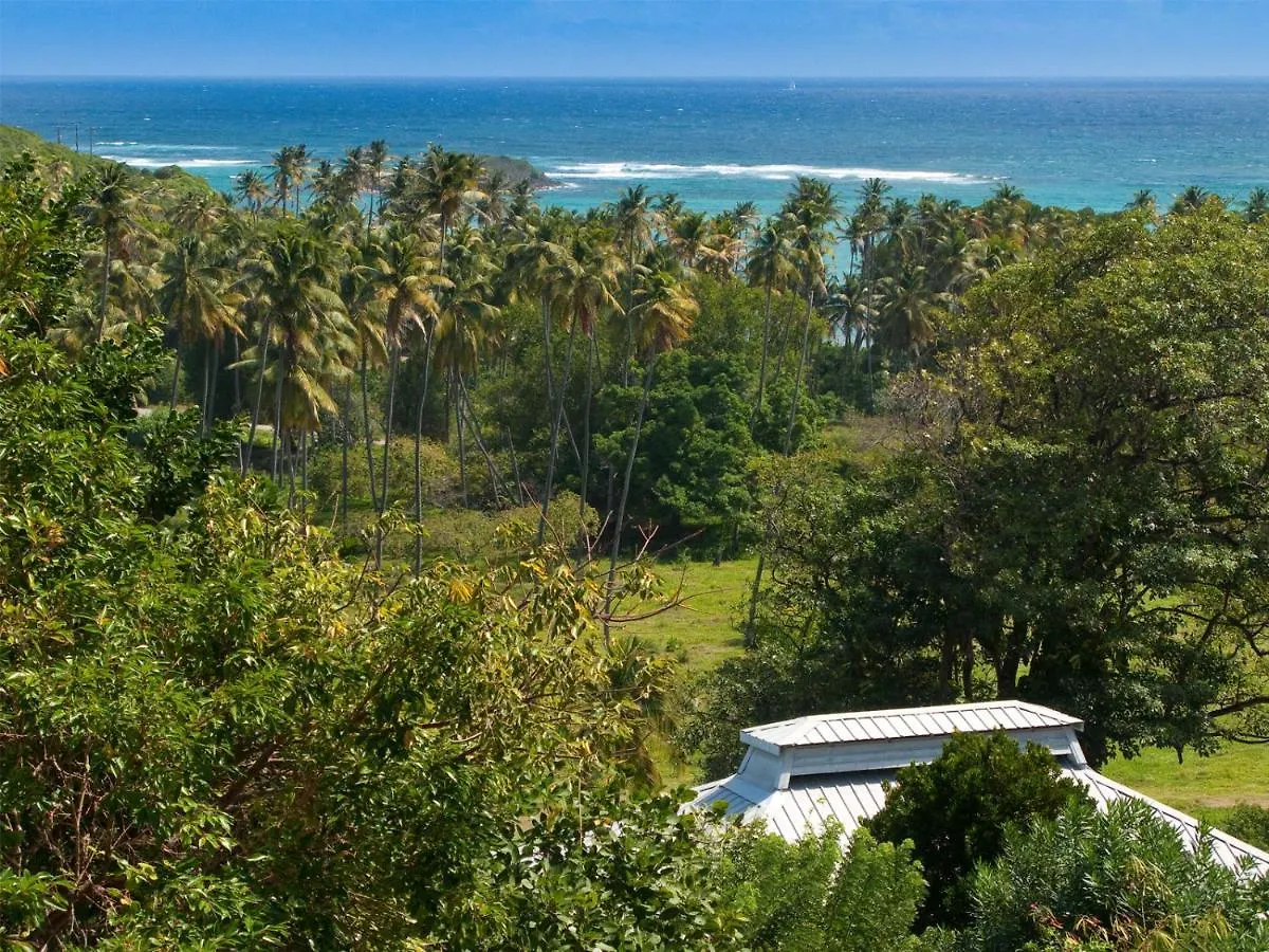 Firefly Estate Bequia Ξενοδοχείο Crescent Beach