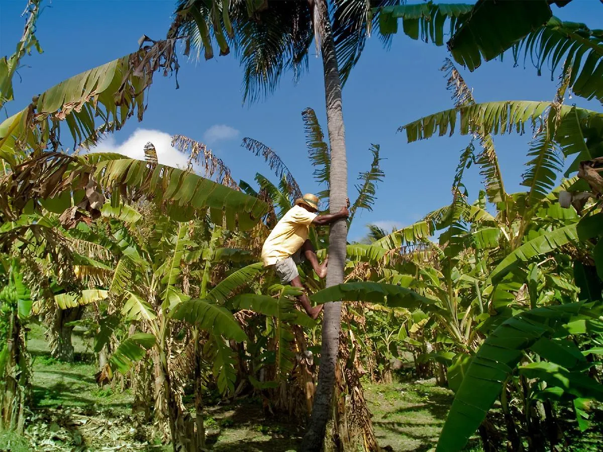 Firefly Estate Bequia Ξενοδοχείο Crescent Beach