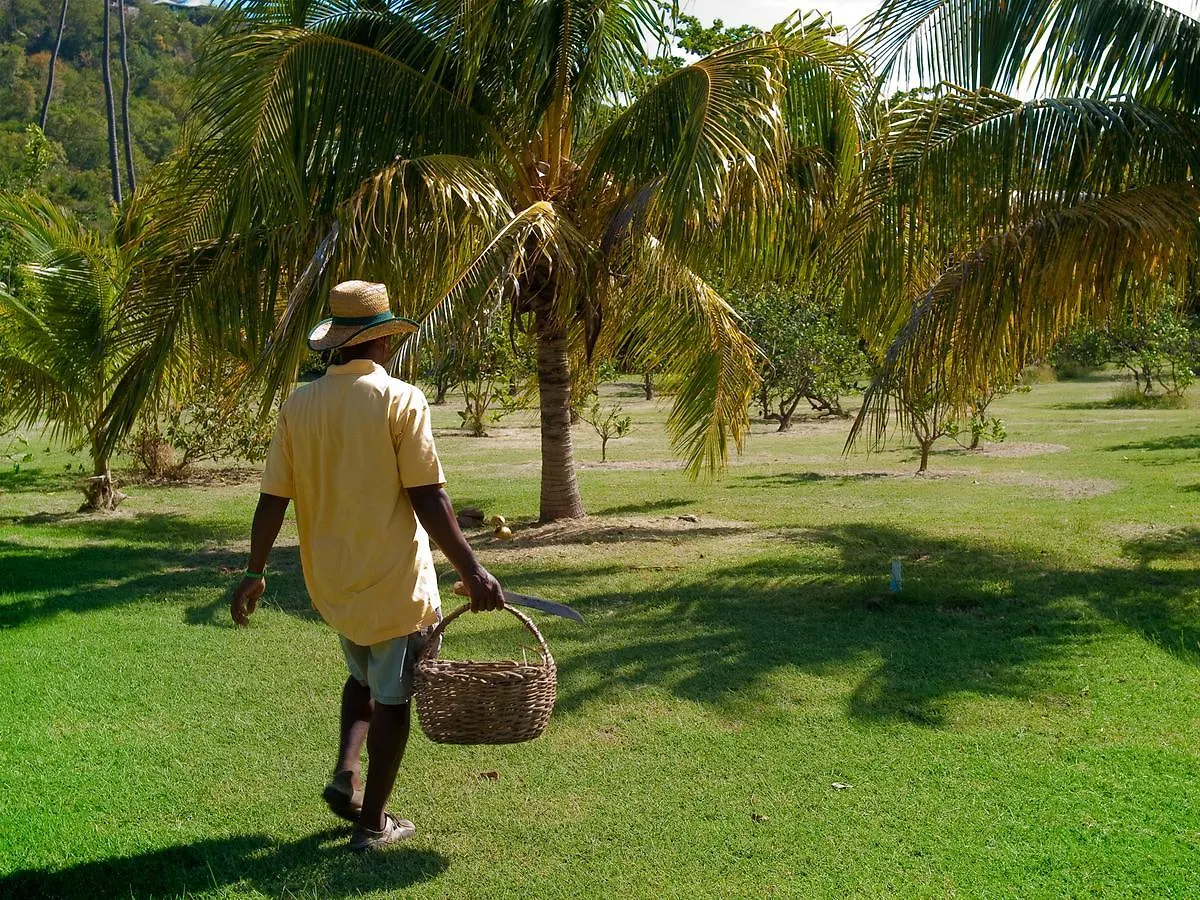 *****  Отель Firefly Estate Bequia Крисент-Бич Сент-Винсент и Гренадины