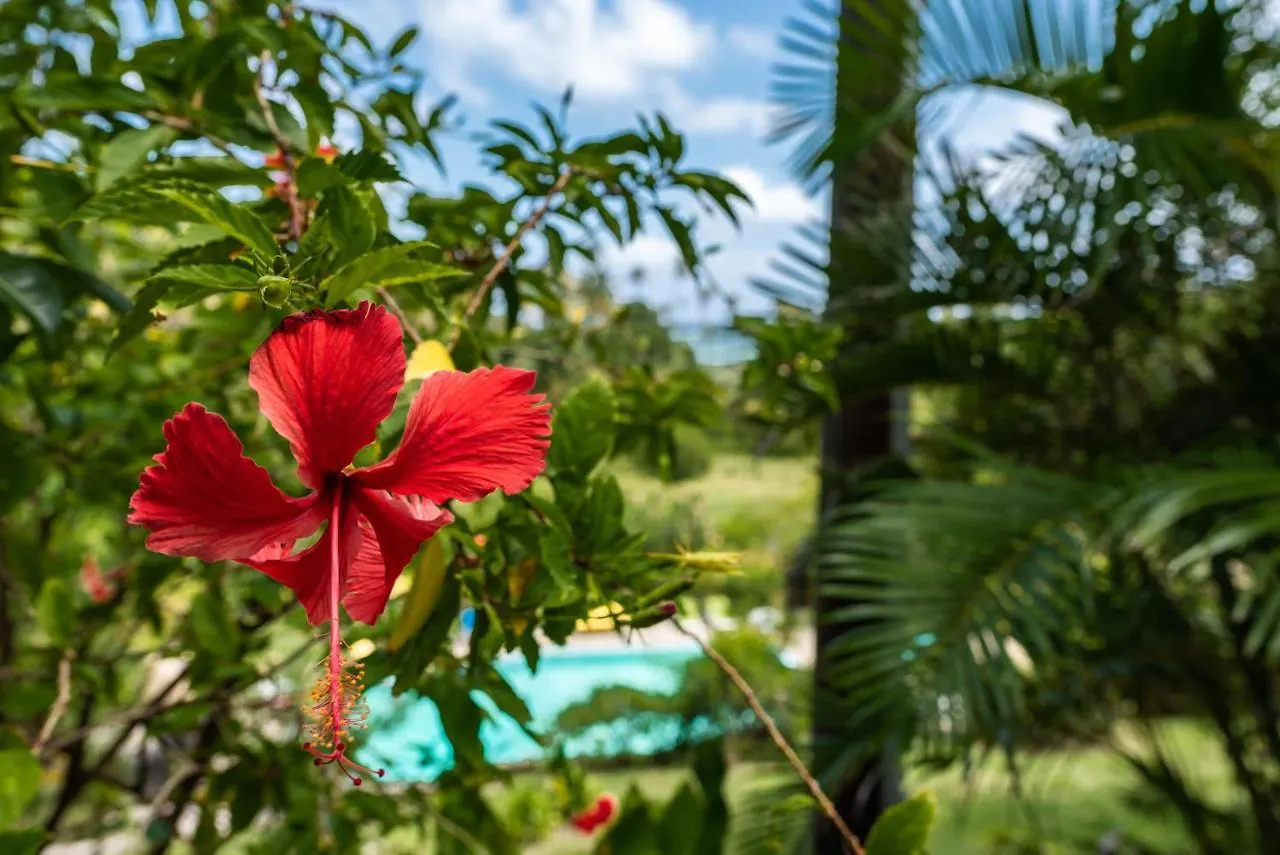 Отель Firefly Estate Bequia Крисент-Бич 5*,  Сент-Винсент и Гренадины