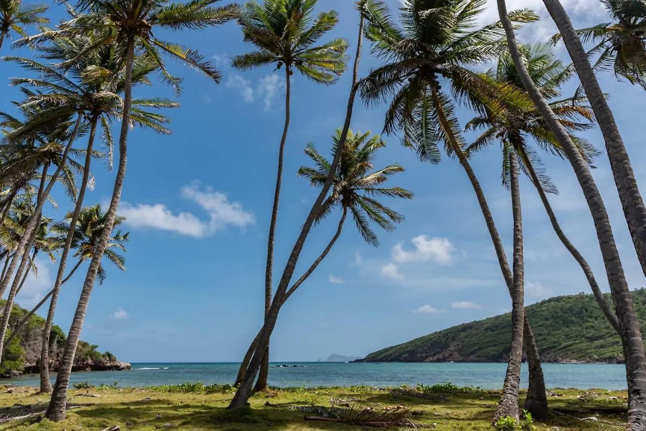 Отель Firefly Estate Bequia Крисент-Бич